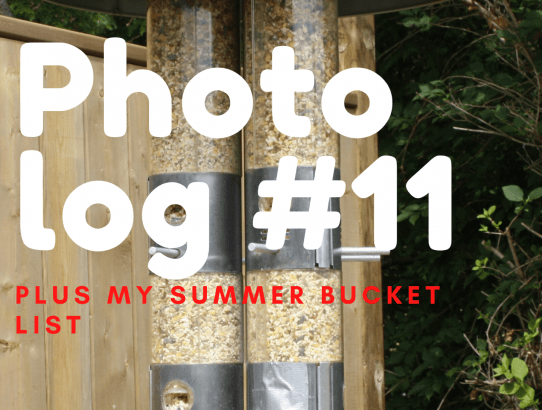 Photo Log #11 + My Summer Bucket list!
