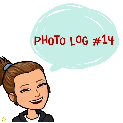 Photo Log #14!