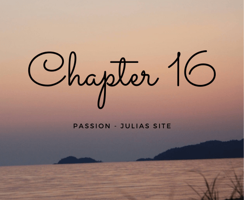 Passion - Chapter 16